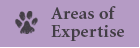 Areas of Expertise